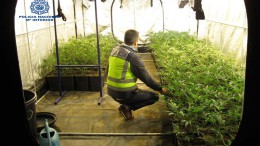 Una de las naves donse se cultivaban las plantas de marihuana