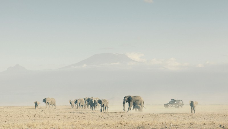 Land Rover y la fundación 'Born Free' respaldan el proyecto para la conservación de los elefantes