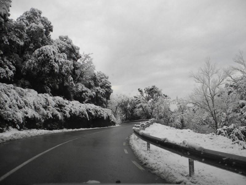 Consejos de seguridad en la carretera para la nieve y viento fuerte