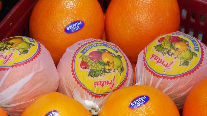 Naranjas, origen de los alimentos