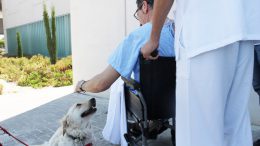 Ribera Salud y el Colegio de Veterinarios de Alicante crean un protocolo para permitir visitas de mascotas a los pacientes ingresados