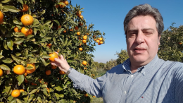 José María Llanos VOX, algunas medidas para defender la naranja valenciana